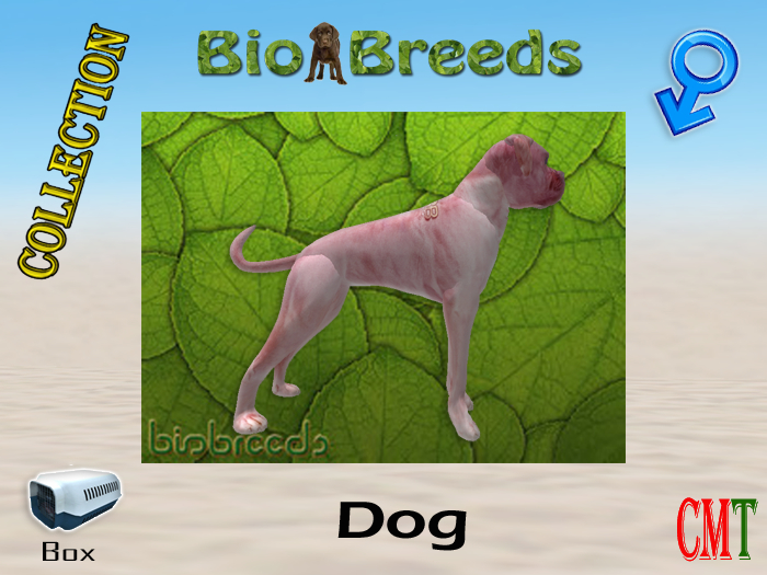 BioBreeds BB SL13B Epic Boxer Box Male