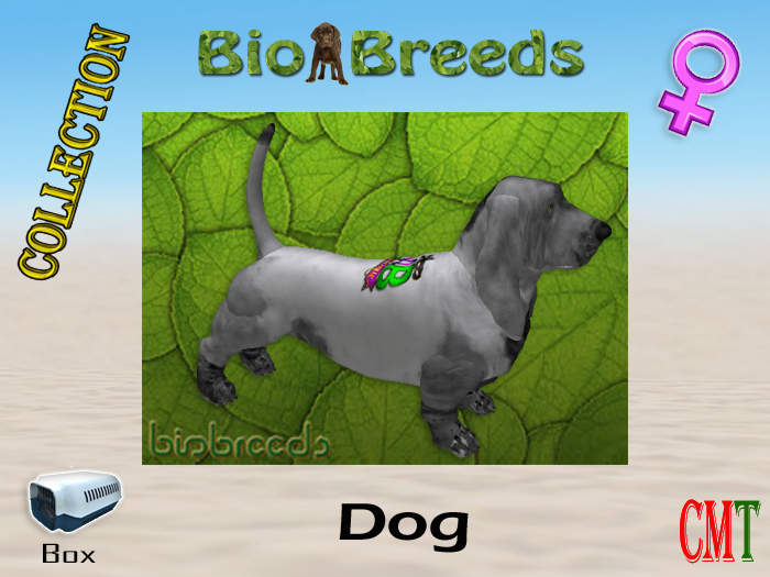 BioBreeds BB SL14B Epic BH Box Female