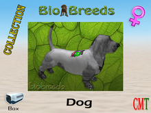 BioBreeds BB SL14B Epic BH Box Female