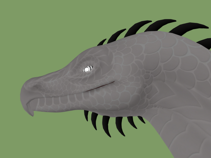 Dwarf Dragon head curved beak