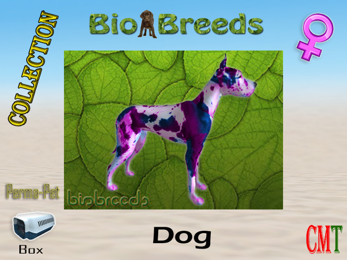 BioBreeds BB SL16B Epic GD Box Pet Female