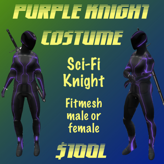 Purple Knight Costume