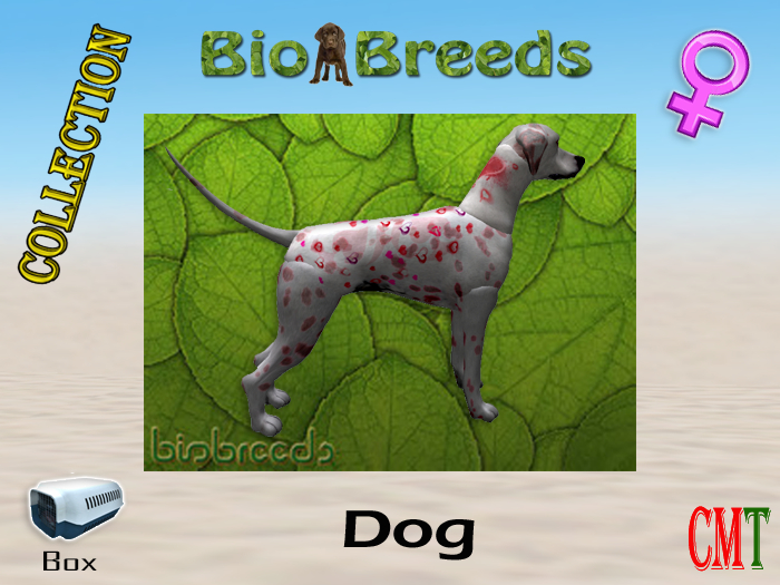 BioBreeds BB Valentine's 2015 Epic Dalmatian Box Female