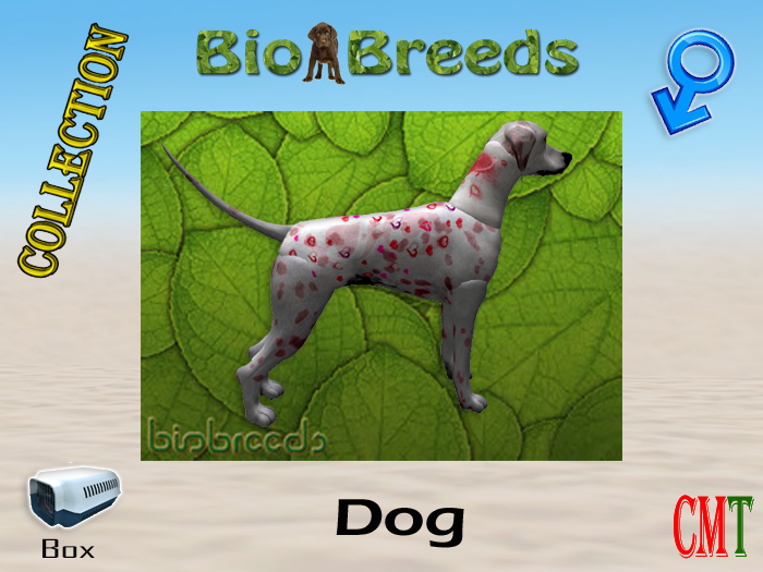BioBreeds BB Valentine's 2015 Epic Dalmatian Box Male