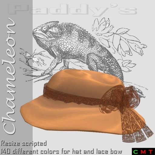 Paddy's Chameleon Cloche Hat