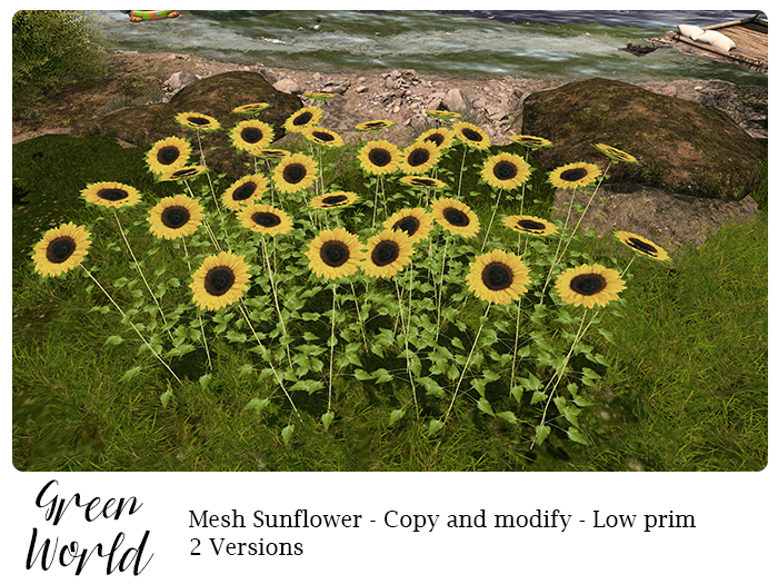 Green World - Sunflower