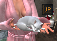 3. Belle Epoque - Cat Lady