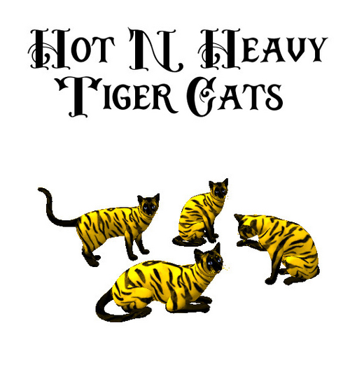 Hot N Heavy - Tiger Cats Yellow