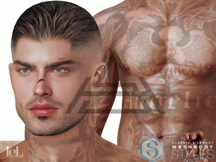 Erik Jon  EvoX 3.1 Shape