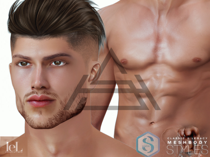 Jerome  Jon  EvoX 3.1 Shape
