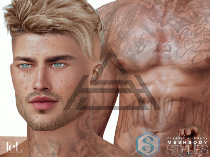 Nicolas Jon 3.1 EvoX Shape