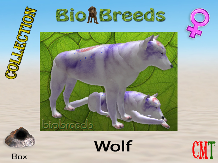 BioBreeds BB 4th of July 2021 Epic Wolf Box Female