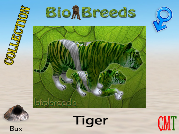 BioBreeds BB St. Patrick's Day 2021 Epic Tiger Box Male