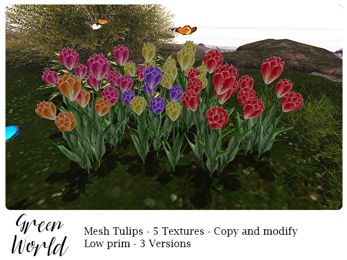 Green World - Tulips