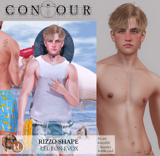 Contour Shape: Rizzo Lelutka Eon (evoX) 