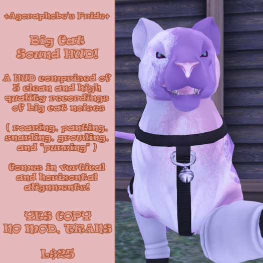 +AP+ Big Cat Sound HUD