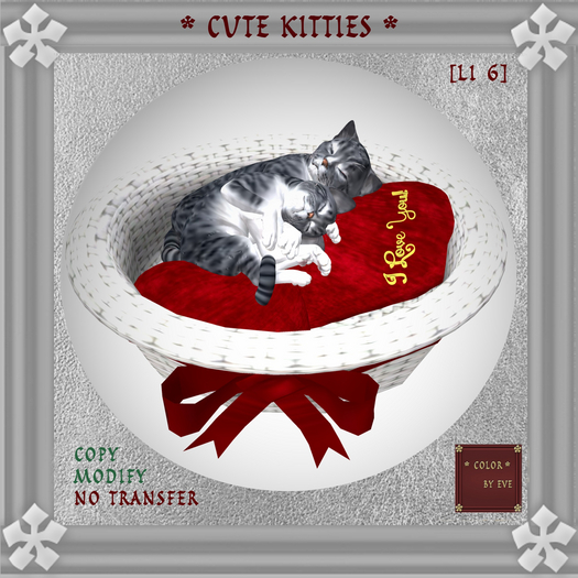 Cute Loving Kitties