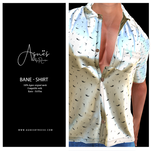 <Agnes> Bane-Kario silk  shirt #2