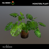 [FULL MONKEY] Monstera plant FULL PERM