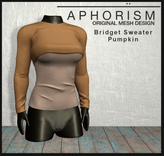!APHORISM! Bridget Sweater Pumpkin