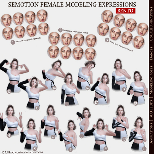 2. SEmotion Female Bento Expressions RARE