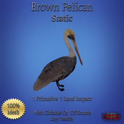 Brown Pelican Static w/Sound Boxed