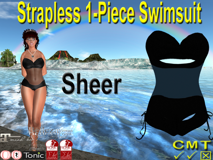 Sheer 1-Piece Swimsuit