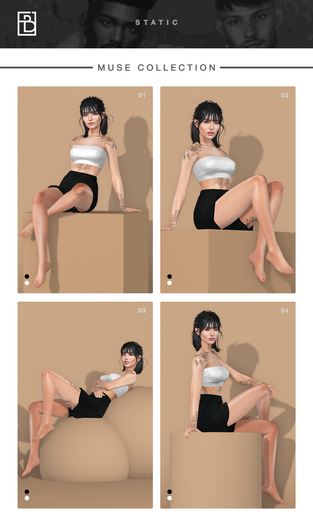 BERAS - Static Pack Muse