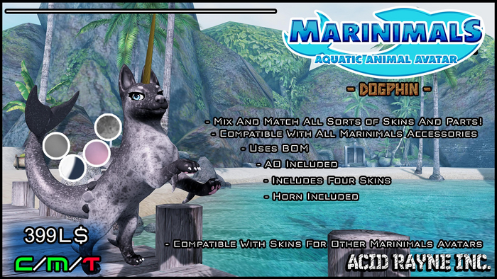 <AR> Marinimals Avatar - Dogphin