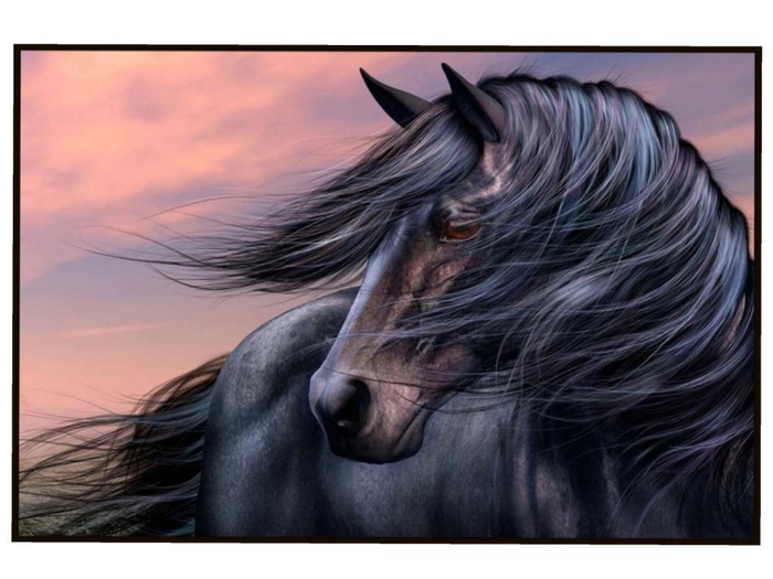 Black Horse Art