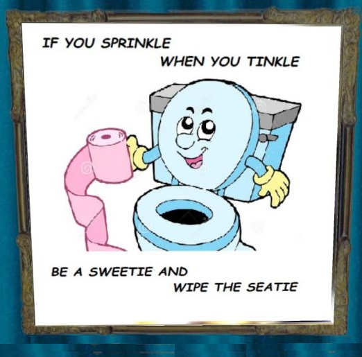 WIPE THE SEATIE