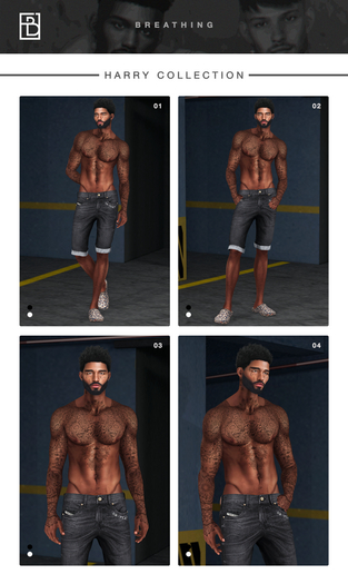 BERAS - Breathing Pack Harry