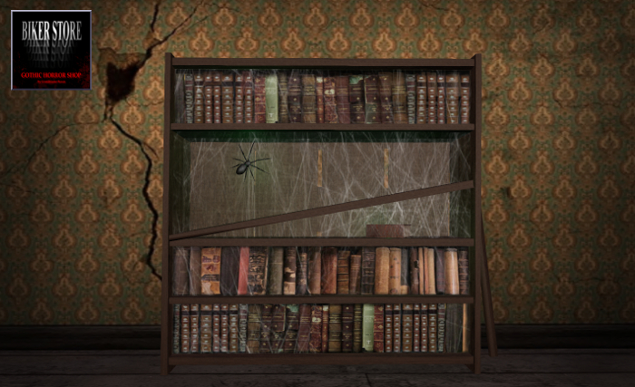 #SPOOKY Old Broken Bookshelf