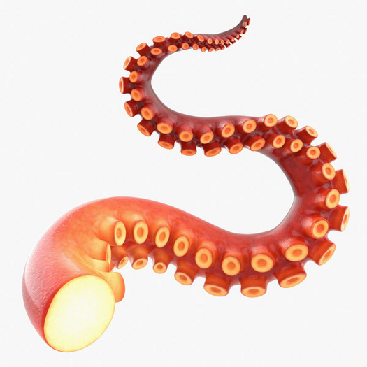 [50] DFS Tentacle Bucket