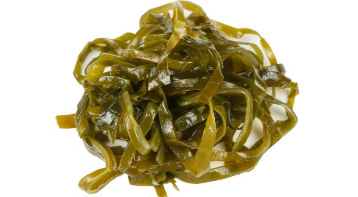 [50] DFS Seaweed Bucket
