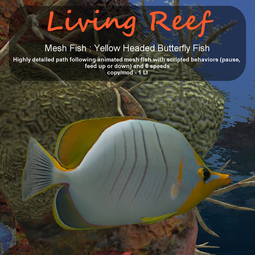 Inochi Reef : Mesh Fish - Yellow Headed Butterfly Fish