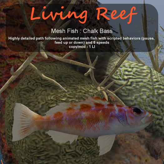 Inochi Reef : Mesh Fish - Chalk Bass