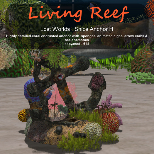 Inochi Reef - Ships Anchor H