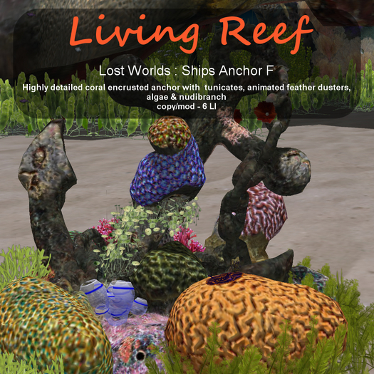 Inochi Reef - Ships Anchor F