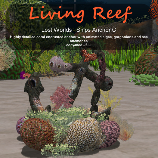 Inochi Reef - Ships Anchor C