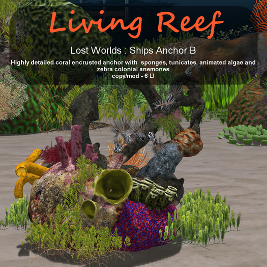 Inochi Reef - Ships Anchor B