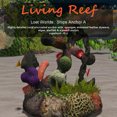 Inochi Reef - Ships Anchor A