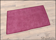 Shasta's - Rug 029