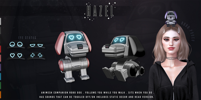 HAZEL . ROBO POOCH