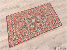Shasta's - Rug 003