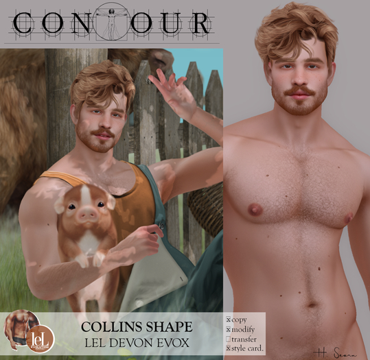 Contour Shape: Collins Lelutka Devon (evoX) 