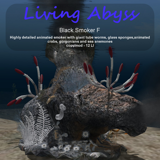 Inochi Abyss - Black Smoker F