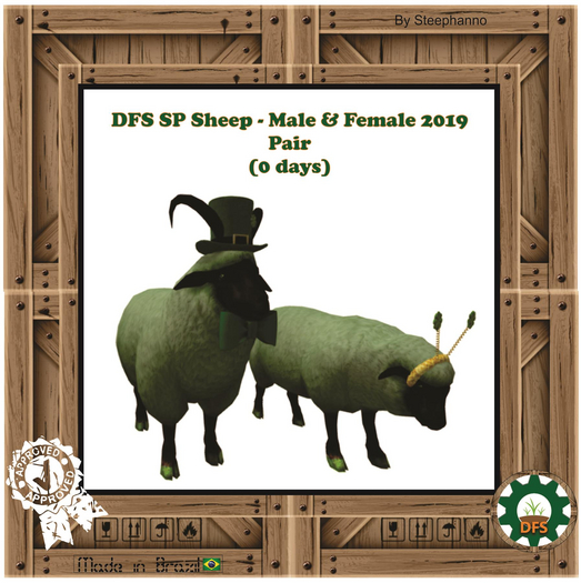 DFS SP Sheep - Male & Female 2019 - Pair (0 days))