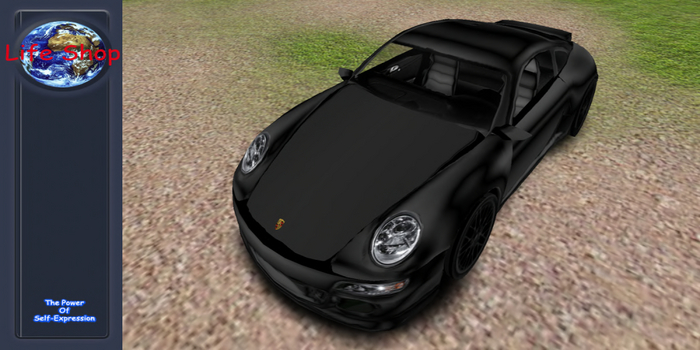 P Carrera GT