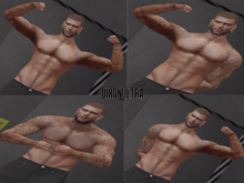 [DIXONULTRA POSES] Flex On Them Pose